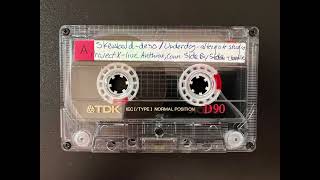 SIDE BY SIDE - July 30th, 1987 @ WNYU, New York City, NY  [FM AUDIO]