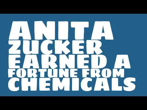Video: Anita Zucker Net Worth