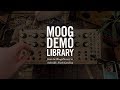 DFAM | Creating Sequences with Fewer Than 8 Steps