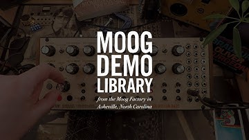 DFAM | Creating Sequences with Fewer Than 8 Steps