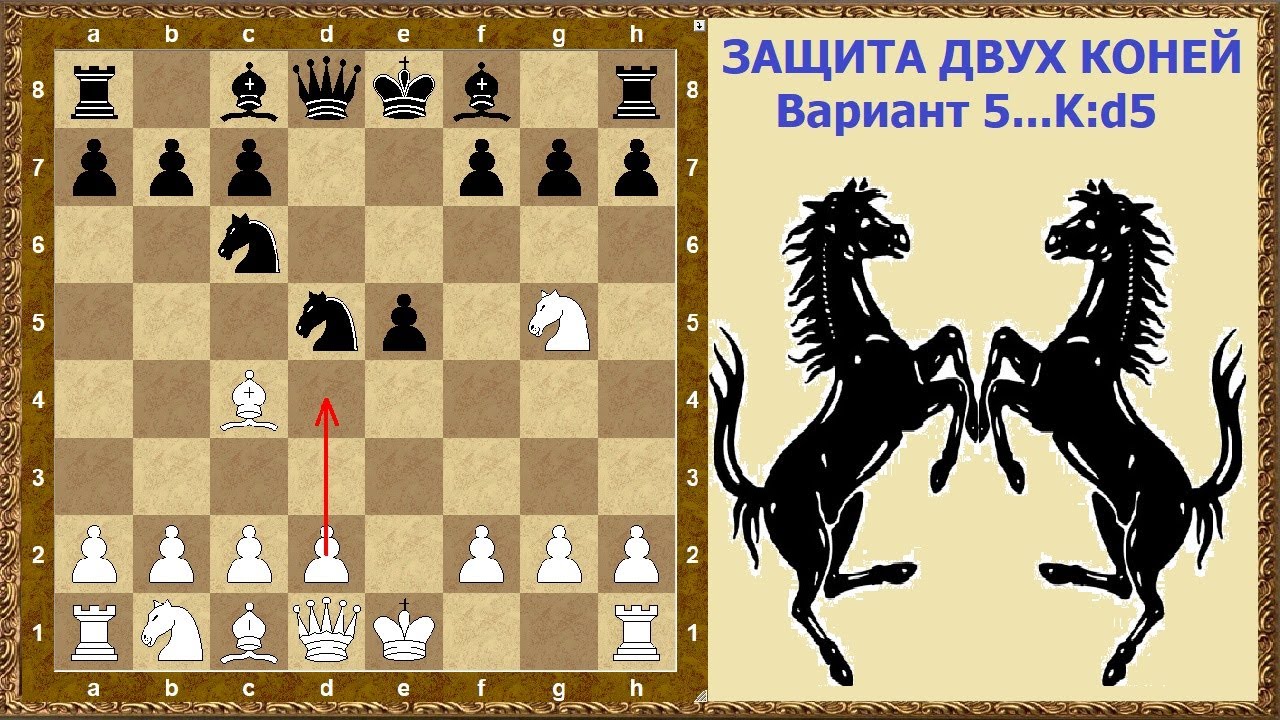 красивые лошади. вариант двух коней. Loshd. дикий гнедой мустанг. конь бежит.