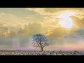 ALONE WITH JEHOVAH | Relaxing Meditation Music | Christian Healing Worship