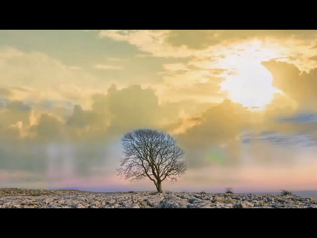 ALONE WITH JEHOVAH | Relaxing Meditation Music | Christian Healing Worship class=