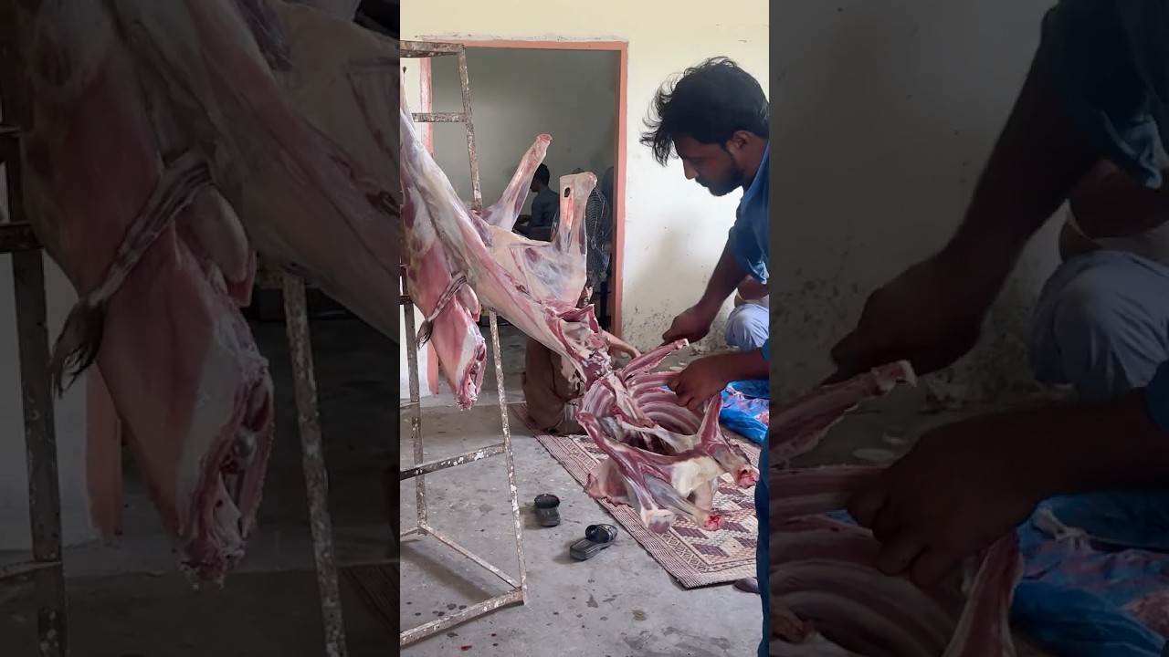 Butcher Cutting Goat's Meat (Mutton) for a Big Wedding Ceremony