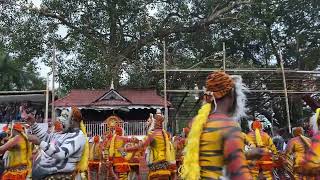 The famous Thrissur Pulikkali/ Tiger Play