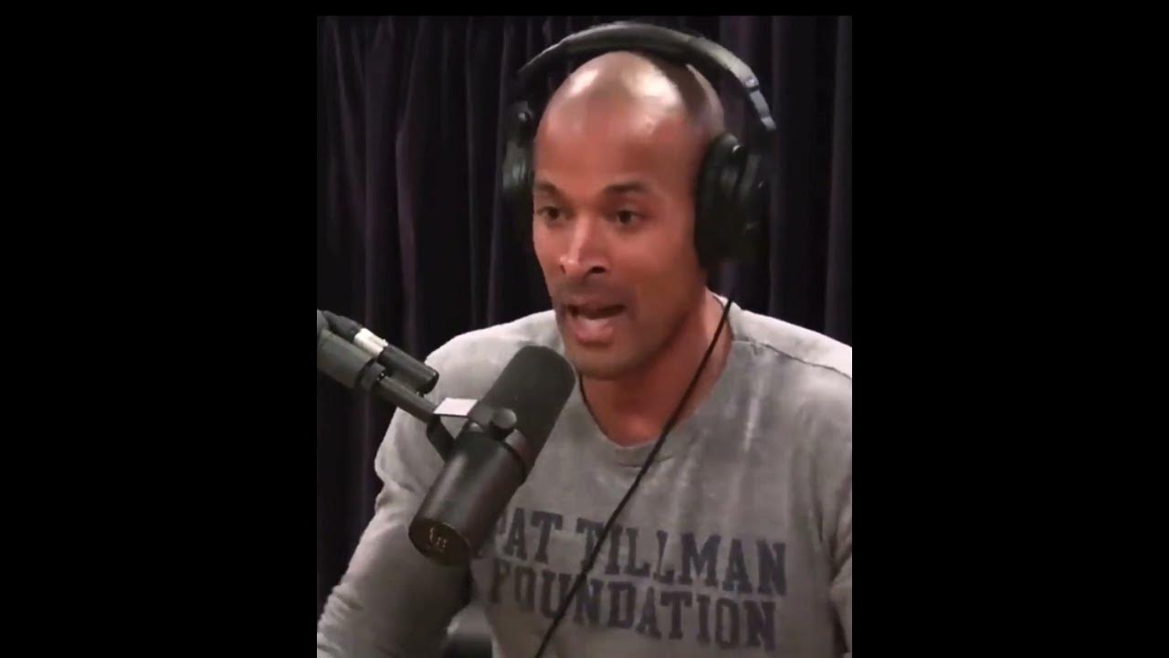 Joe rogan navy seals YouTube