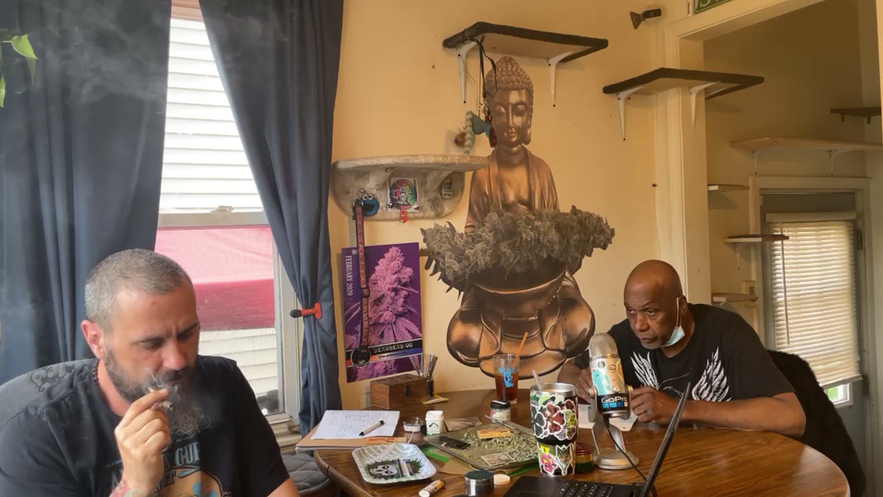 Michigan cannabis review “2021 hightimes Michigan cannabis hybrid flower #2”