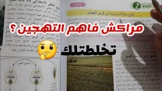 انتاج سلالات مرغوبة عن طريق التهجين 😍