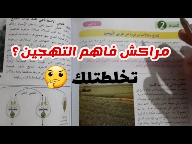 انتاج سلالات مرغوبة عن طريق التهجين 😍