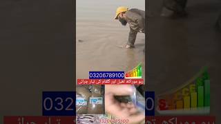 fishing art||carp||baits||catching the carp||fishing tips and tricks