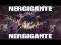 Nergigante.mp4