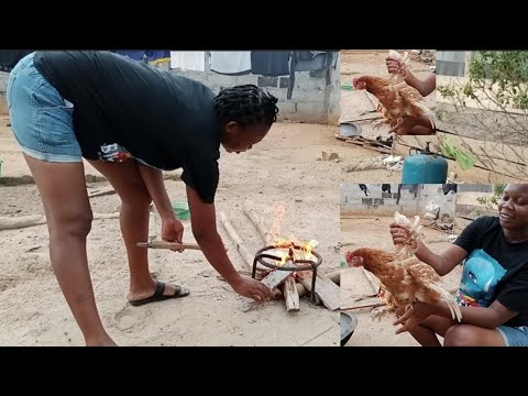 African village life// How to slaughter/ Butcher chicken and Easiest way to remove the feathers.