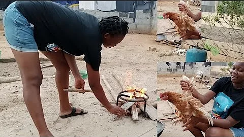African village life// How to slaughter/ Butcher chicken and Easiest way to remove the feathers.
