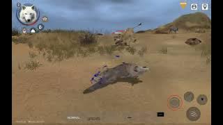 Wolf Online 2 Gameplay 2024