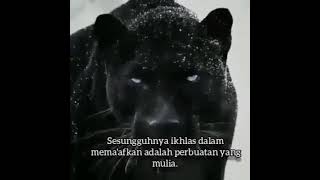 story wa macan kumbang