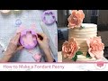 How to Make a Fondant Peony