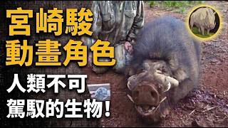 [生物放大鏡] 魔法公主'乙事主'原型!? | 決不向人類低頭的自我毀滅機制 | 躲藏人類禁區數萬年