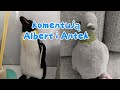 Antek i Albert komentują luźne granie w fs25