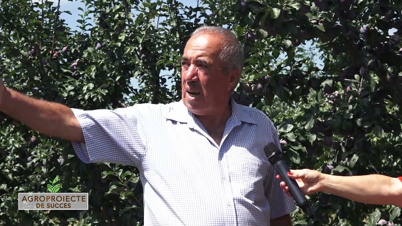 AGROPROIECT DE SUCCES EP  LIVEZI DE PRUNI  09 05 2021