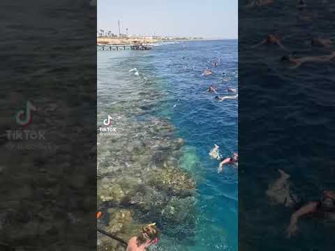 جمال ورؤعه شرم الشيخ