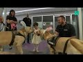 Police Dogs Help Kids Through A "Ruff" Time