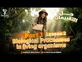 حل تقييم الوزاره الاسبوعي الثالث ساينس اولي ثانوي ترم تاني    1  
