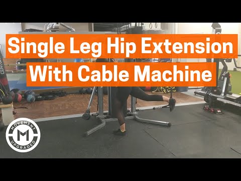 Single Leg Hip Extension With Cable Machine