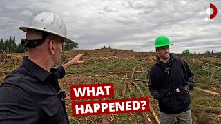 Inside America's Forgotten Timber Country
