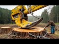 Sehr Gefährliche, Extrem Schnelle Kettensägen-Baumfällmaschinen | Gigantische Bäume vs Kettensäge #3