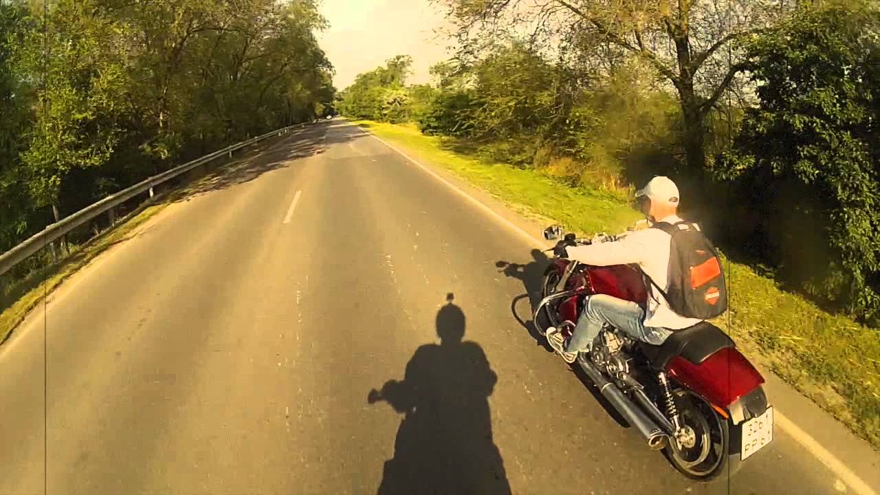 Ride Harley Davidson v-rod muscle /Suzuki GSF1250 bandit - YouTube
