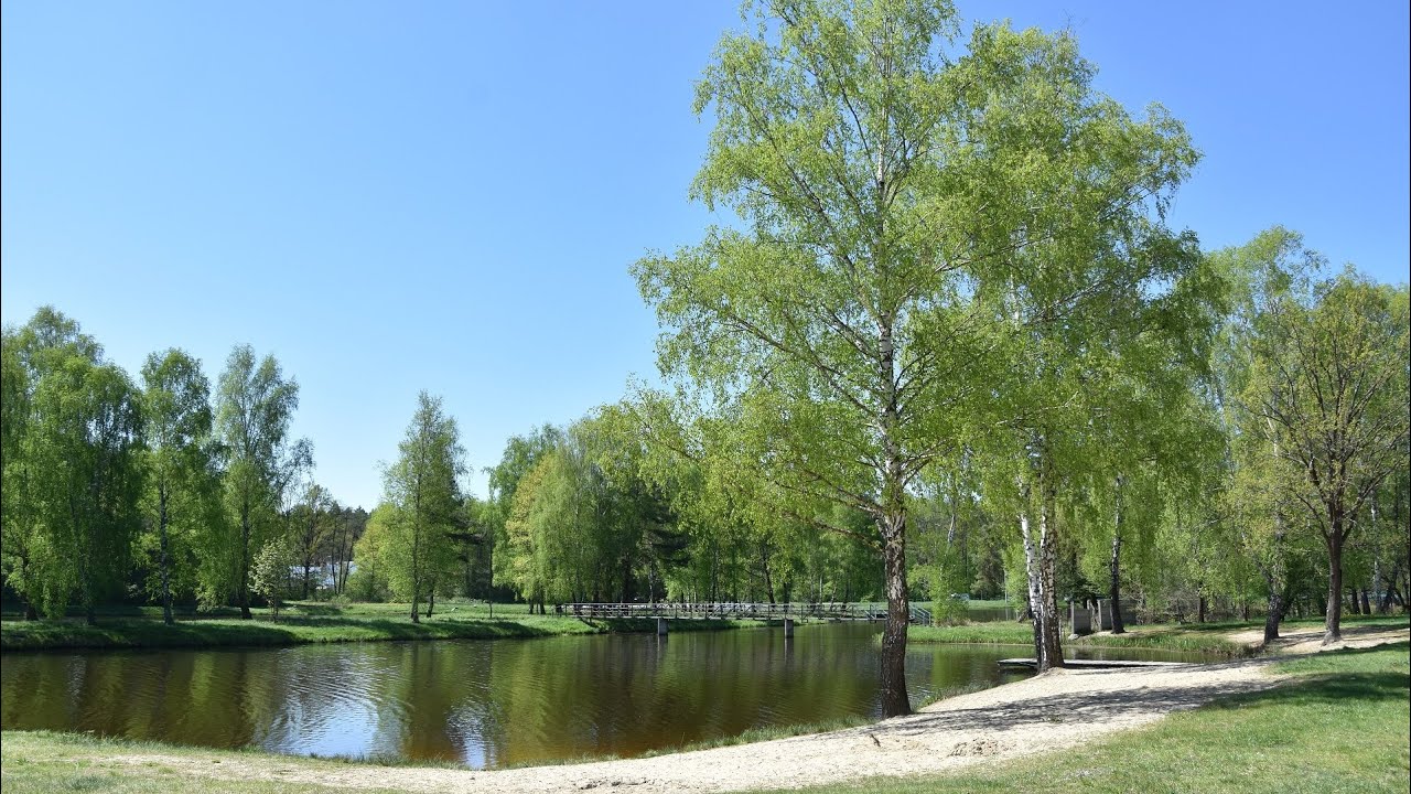 Pole biwakowe w Kamionce zyska nowe życie ?