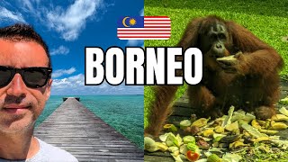 Wild Borneo: Orangutans, Rainforest and Dreamy Beaches in Sabah 🐒🌴🌊 Wild Borneo: Orangutans, Rainforest and Dreamy Beaches in Sabah 🐒🌴🌊