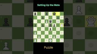 Setting Up the Mate #chess #chessmaster #chesstricks #chessgame #chesscom #chesspuzzle #catur