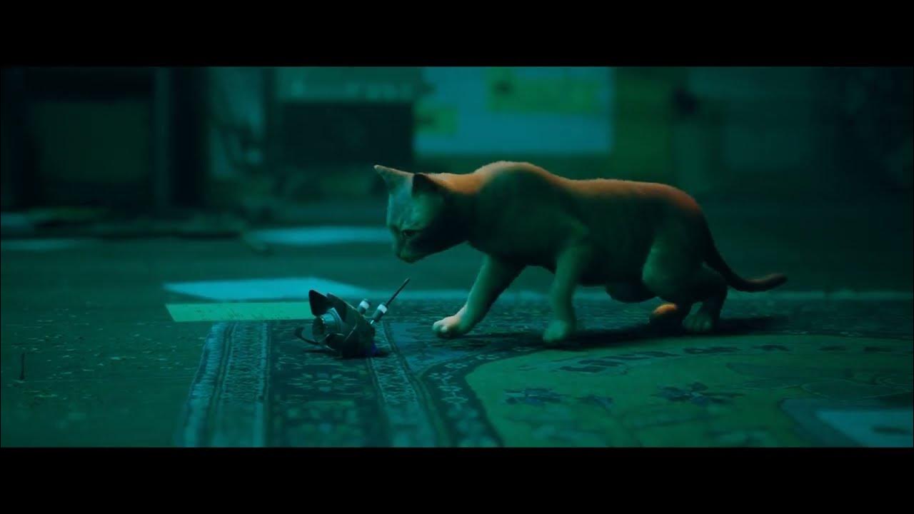 Free the Drone. Cats gets its Companion B12 The flat Mission Stray