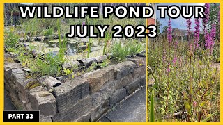 How To Build A Wildlife Pond Like This ? Here we show you our wildlife pond in July #ponds