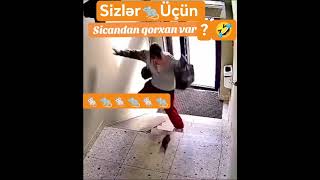 🐁Siçandan😂qorxan var?#yorum #gülmekgaranti#komik #komedi #comedy #keşfetedüş #keşfet #viral #shorts