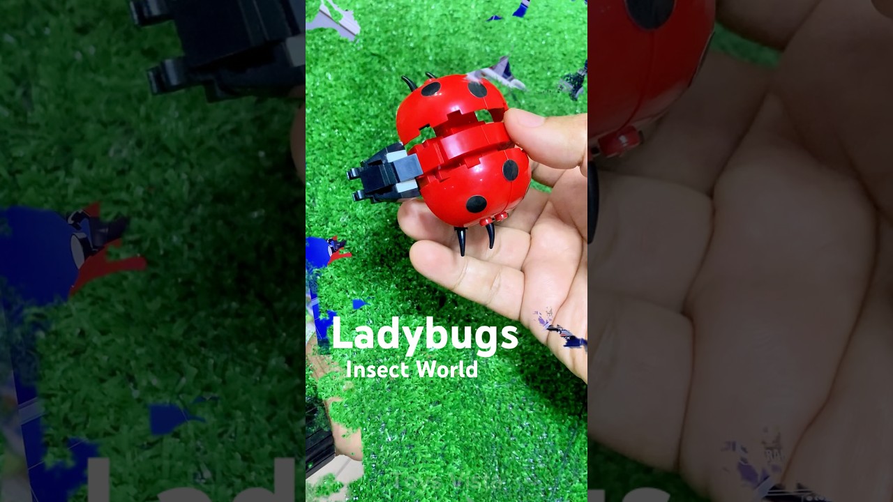 Ladybug Insect World Block Toys 