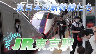 【東京駅】JR東日本の各新幹線の発着シーン 2020/9/21