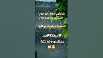 #فولو_اكسبلور #اكسبلور #duet #اقنباسات #تلاوة_خاشعة #لايك #قران_كريم #ترند #تيك_توك #دويتو