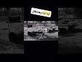 اضحك مع افضل طقطقة 2025 اضحك مع افضل طقطقة 2025