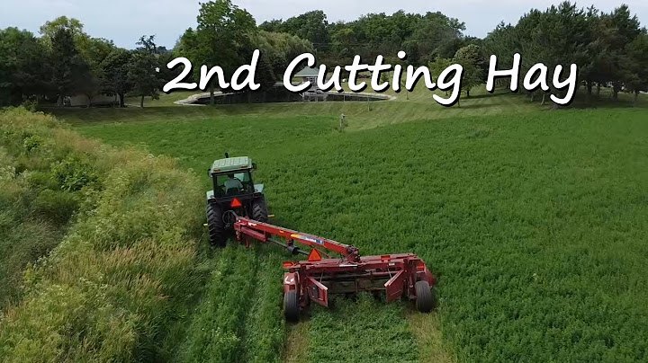 Second Cutting Hay 2025