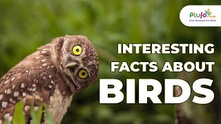 Interesting Facts about Birds | Birds Video | Educational Videos for Kids | Always on Learning