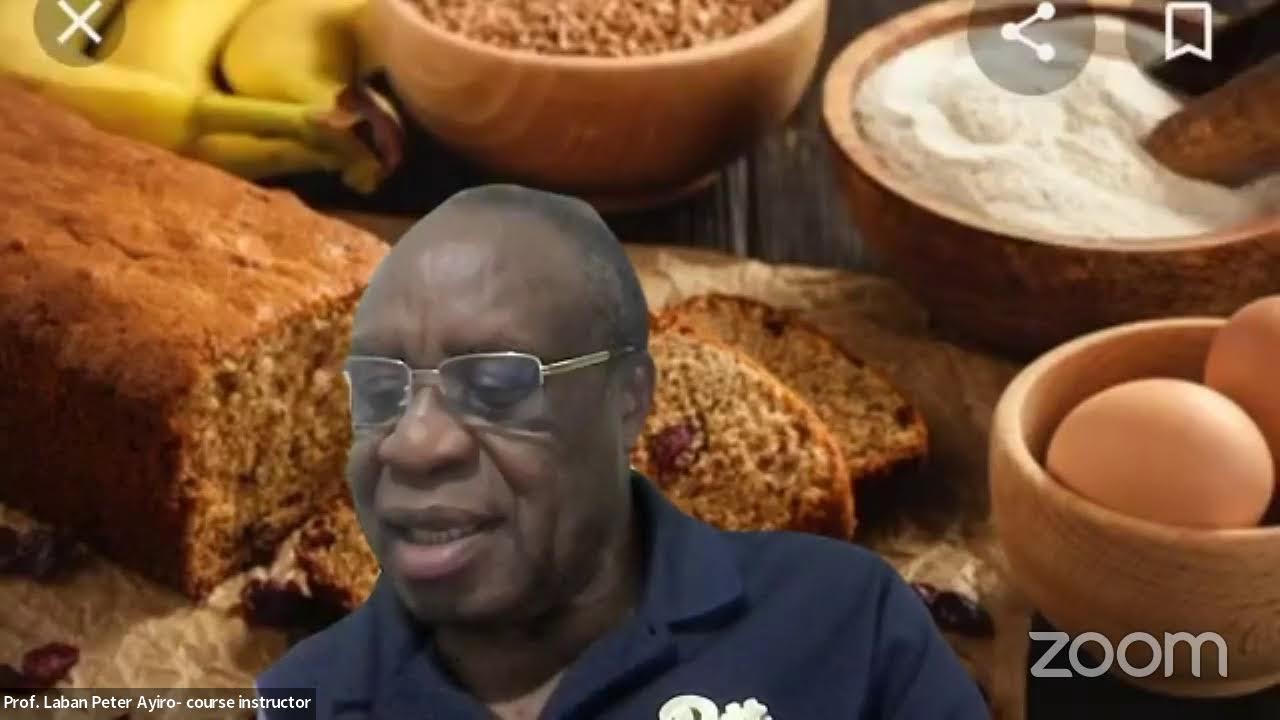 Prof. Laban Ayiro,  Lecture 30on Research Methods