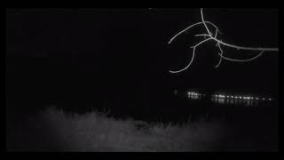 Objectifs Faune Sauvage