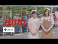 AKB48 ֽ CM