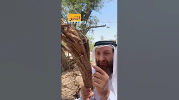 الوقودالأكثر صحي للطبخ ثم الذي يليه اعد النشرادعم المعلومة Healthiest Fuel For Cooking Then Next 