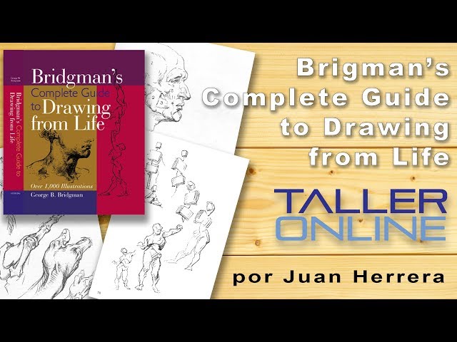 ANATOMÍA ARTÍSTICA (PARTE 2) - Taller Draw