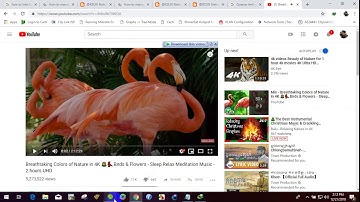 37 Queue tree Limit youtube bandwidth and other full bandwidth in mikrotik