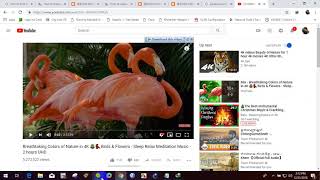 Famous 37 Queue tree Limit youtube bandwidth and other full bandwidth in mikrotik Net Worth