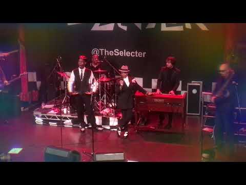 The Selector -